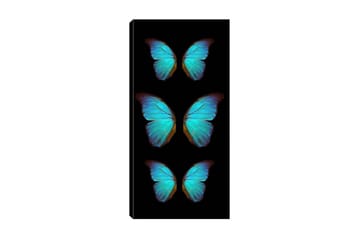 Canvastavla DKY Animals Flerfärgad - 50x120 cm - Inredning - Tavlor & posters - Canvastavla