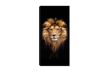 Canvastavla DKY Animals Flerfärgad - 50x120 cm - Inredning - Tavlor & posters - Canvastavla