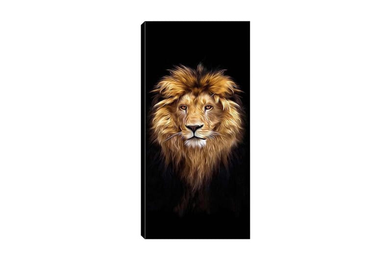 Canvastavla DKY Animals Flerfärgad - 50x120 cm - Inredning - Tavlor & posters - Canvastavla