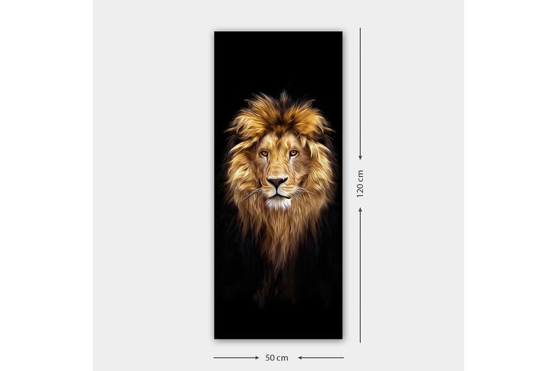 Canvastavla DKY Animals Flerfärgad - 50x120 cm - Inredning - Tavlor & posters - Canvastavla