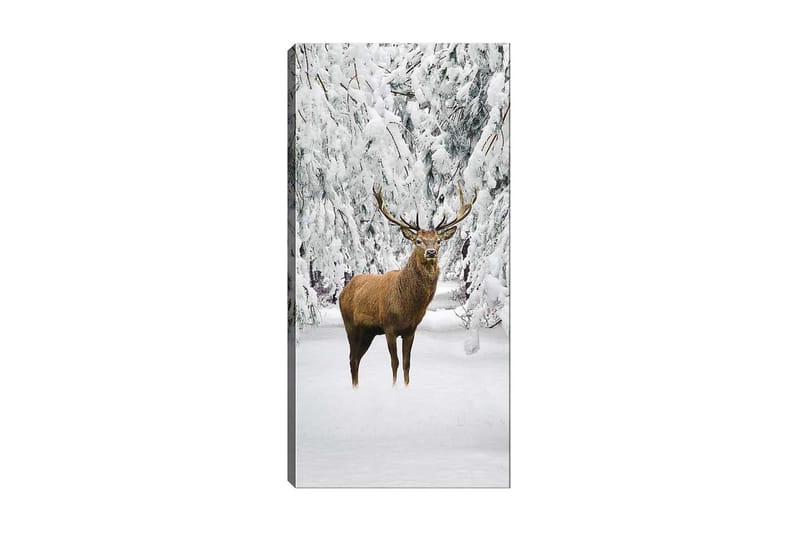 Canvastavla DKY Animals Flerfärgad - 50x120 cm - Inredning - Tavlor & posters - Canvastavla