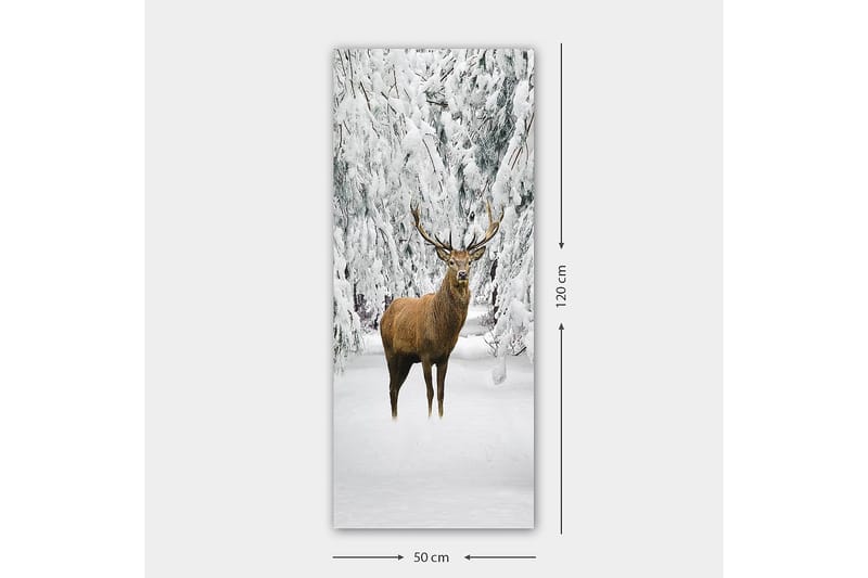 Canvastavla DKY Animals Flerfärgad - 50x120 cm - Canvastavla