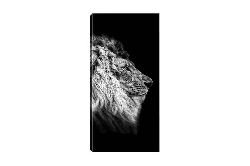 Canvastavla DKY Animals Flerfärgad - 50x120 cm - Inredning - Tavlor & posters - Canvastavla