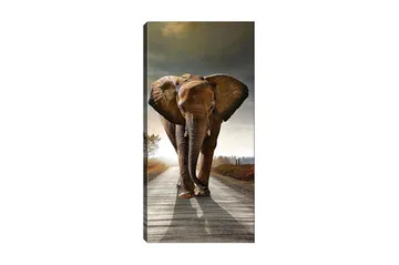 Canvastavla DKY Animals Flerfärgad - 50x120 cm - Inredning - Tavlor & posters - Canvastavla