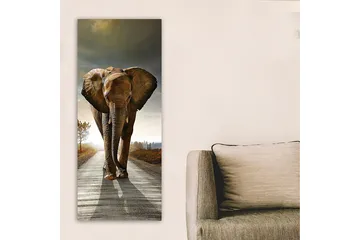 Canvastavla DKY Animals Flerfärgad - 50x120 cm - Inredning - Tavlor & posters - Canvastavla