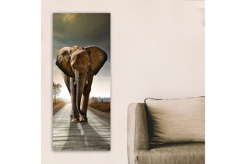 Canvastavla DKY Animals Flerfärgad - 50x120 cm - Inredning - Tavlor & posters - Canvastavla