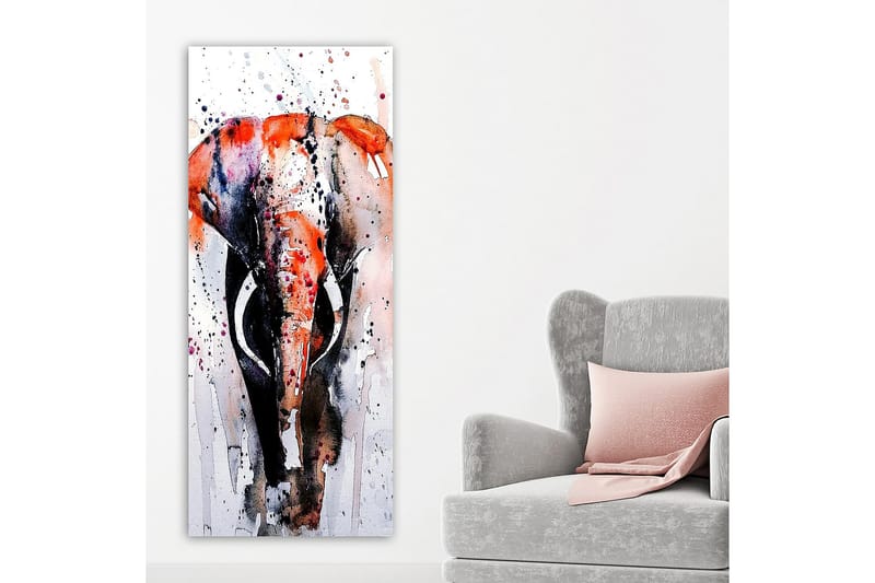 Canvastavla DKY Animals Flerfärgad - 50x120 cm - Inredning - Tavlor & posters - Canvastavla
