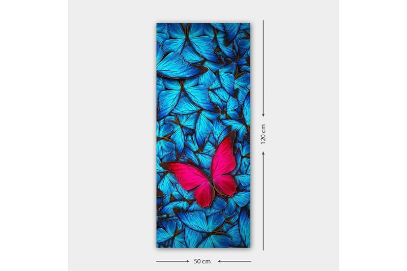 Canvastavla DKY Animals Flerfärgad - 50x120 cm - Inredning - Tavlor & posters - Canvastavla