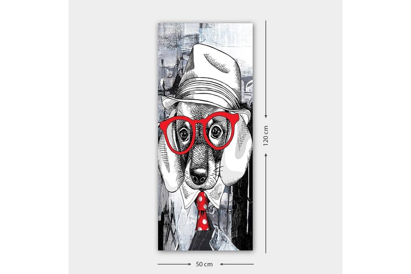 Canvastavla DKY Animals Flerfärgad - 50x120 cm - Inredning - Tavlor & posters - Canvastavla