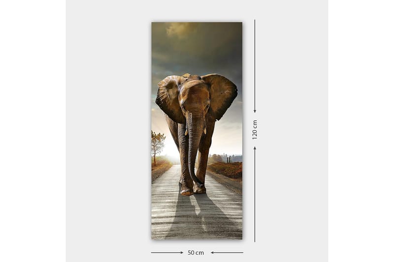 Canvastavla DKY Animals Flerfärgad - 50x120 cm - Inredning - Tavlor & posters - Canvastavla