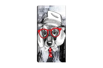 Canvastavla DKY Animals Flerfärgad - 50x120 cm - Inredning - Tavlor & posters - Canvastavla