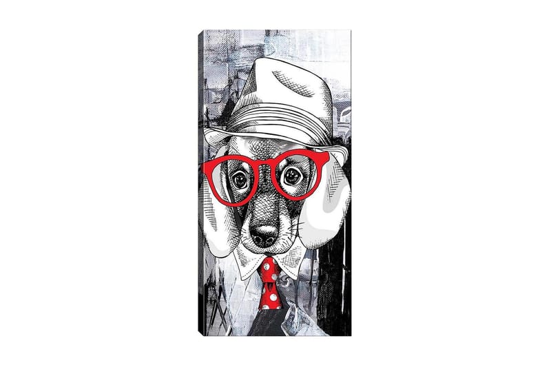 Canvastavla DKY Animals Flerfärgad, 50x120 cm