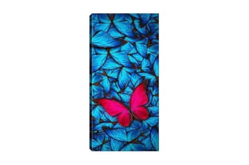 Canvastavla DKY Animals Flerfärgad - 50x120 cm - Inredning - Tavlor & posters - Canvastavla
