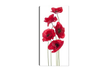 Canvastavla DKY Floral & Botanical Flerfärgad - 50x120 cm - Inredning - Tavlor & posters - Canvastavla