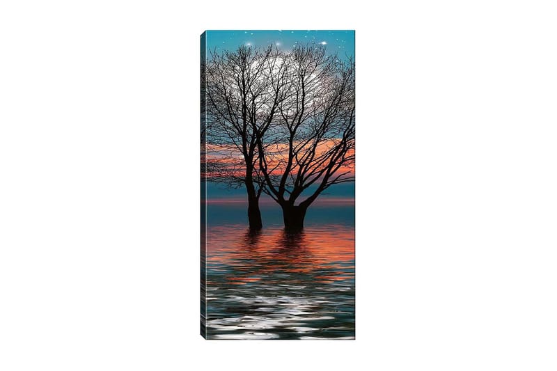 Canvastavla DKY Floral & Botanical Flerfärgad - 50x120 cm - Inredning - Tavlor & posters - Canvastavla