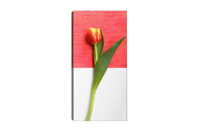 Canvastavla DKY Floral & Botanical Flerfärgad - 50x120 cm - Inredning - Tavlor & posters - Canvastavla