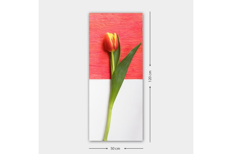 Canvastavla DKY Floral & Botanical Flerfärgad - 50x120 cm - Inredning - Tavlor & posters - Canvastavla