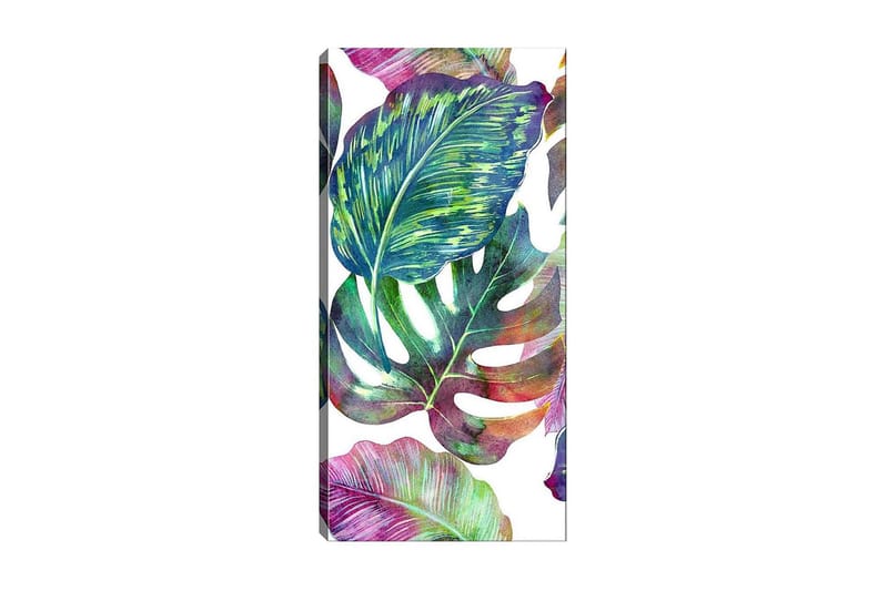 Canvastavla DKY Floral & Botanical Flerfärgad - 50x120 cm - Inredning - Tavlor & posters - Canvastavla
