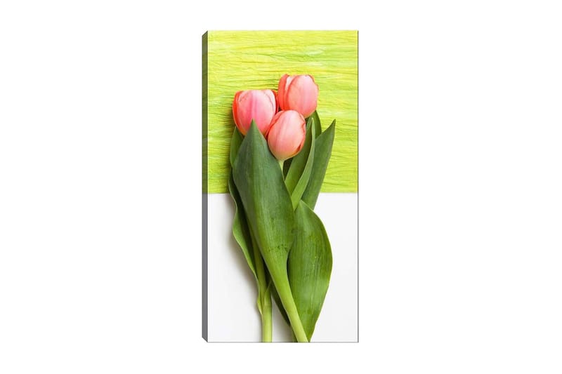 Canvastavla DKY Floral & Botanical Flerfärgad - 50x120 cm - Inredning - Tavlor & posters - Canvastavla