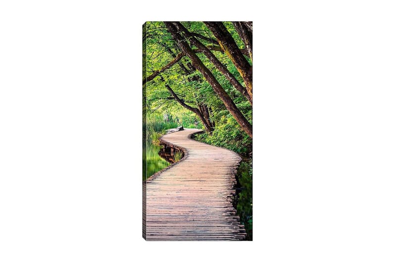 Canvastavla DKY Floral & Botanical Flerfärgad - 50x120 cm - Inredning - Tavlor & posters - Canvastavla