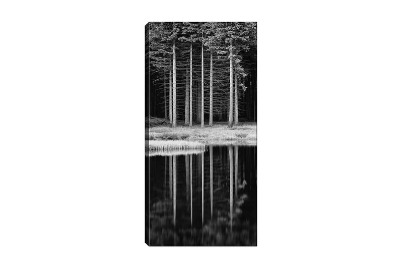 Canvastavla DKY Floral & Botanical Flerfärgad - 50x120 cm - Inredning - Tavlor & posters - Canvastavla