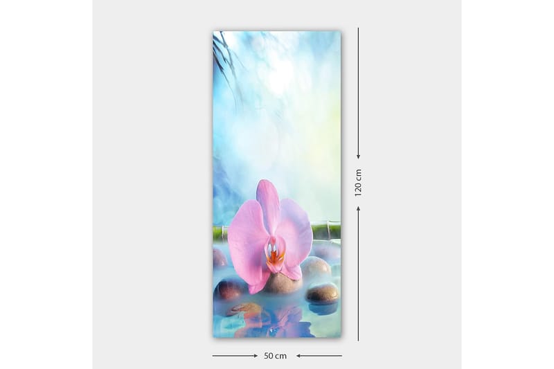 Canvastavla DKY Floral & Botanical Flerfärgad - 50x120 cm - Inredning - Tavlor & posters - Canvastavla