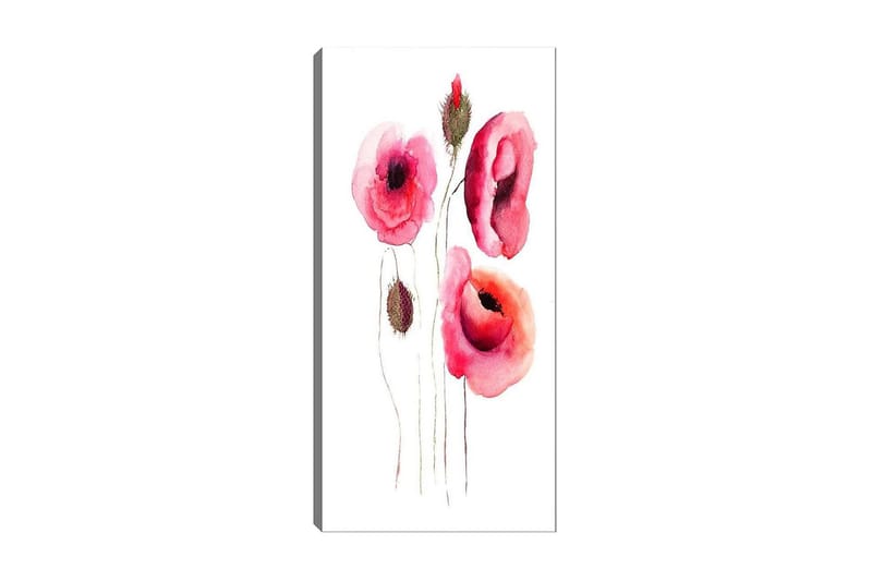 Canvastavla DKY Floral & Botanical Flerfärgad - 50x120 cm - Inredning - Tavlor & posters - Canvastavla