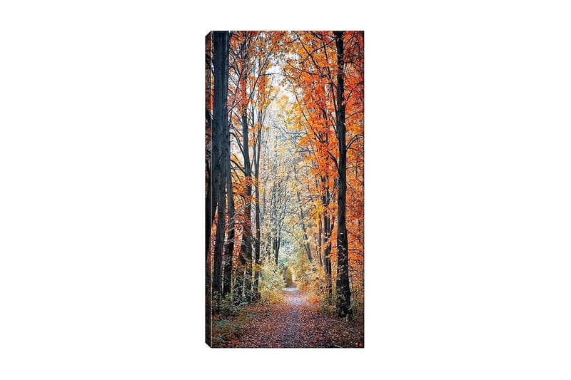 Canvastavla DKY Floral & Botanical Flerfärgad - 50x120 cm - Inredning - Tavlor & posters - Canvastavla