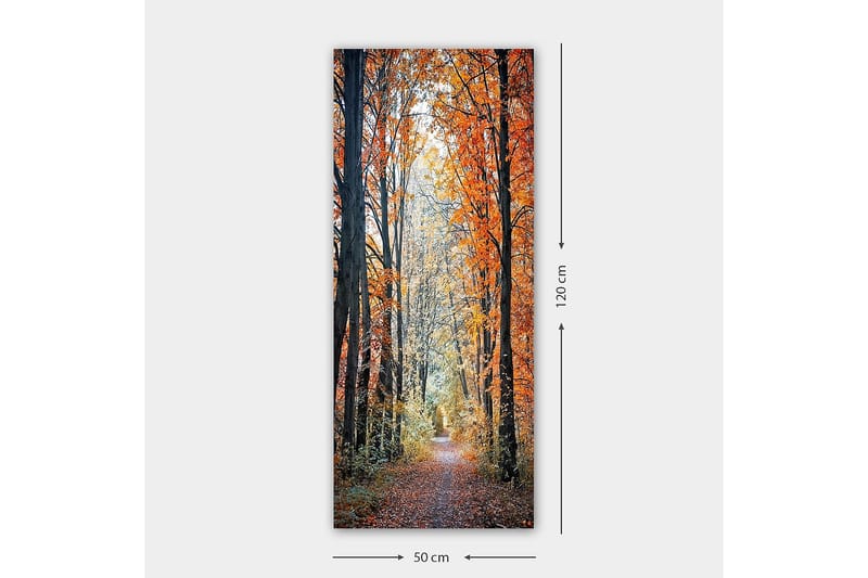Canvastavla DKY Floral & Botanical Flerfärgad - 50x120 cm - Inredning - Tavlor & posters - Canvastavla