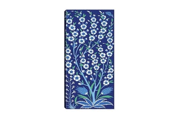 Canvastavla DKY Floral & Botanical Flerfärgad - 50x120 cm - Inredning - Tavlor & posters - Canvastavla