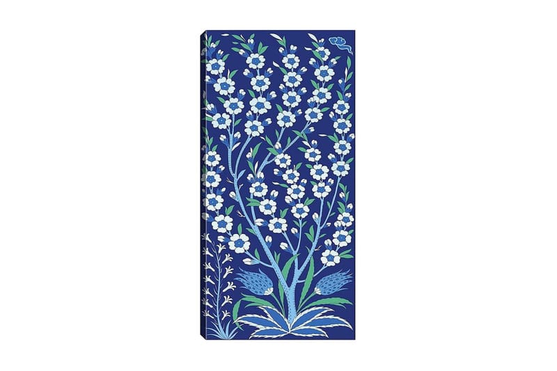 Canvastavla DKY Floral & Botanical Flerfärgad - 50x120 cm - Inredning - Tavlor & posters - Canvastavla