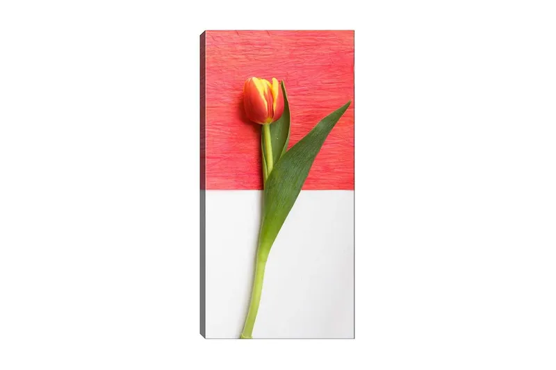 Canvastavla DKY Floral & Botanical Flerfärgad, 50x120 cm
