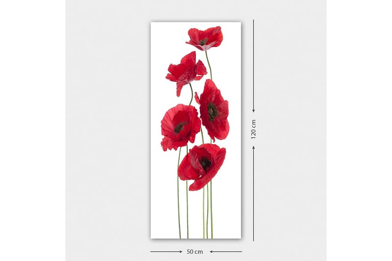 Canvastavla DKY Floral & Botanical Flerfärgad - 50x120 cm - Inredning - Tavlor & posters - Canvastavla