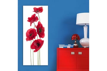 Canvastavla DKY Floral & Botanical Flerfärgad - 50x120 cm - Inredning - Tavlor & posters - Canvastavla