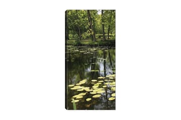 Canvastavla DKY Floral & Botanical Flerfärgad - 50x120 cm - Inredning - Tavlor & posters - Canvastavla