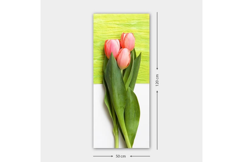 Canvastavla DKY Floral & Botanical Flerfärgad - 50x120 cm - Inredning - Tavlor & posters - Canvastavla