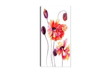 Canvastavla DKY Floral & Botanical Flerfärgad - 50x120 cm - Inredning - Tavlor & posters - Canvastavla