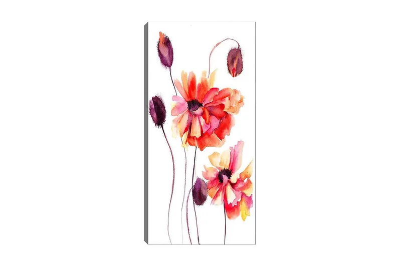 Canvastavla DKY Floral & Botanical Flerfärgad, 50x120 cm