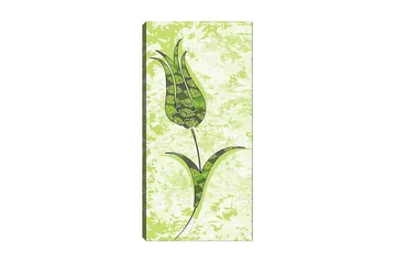 Canvastavla DKY Floral & Botanical Flerfärgad - 50x120 cm - Inredning - Tavlor & posters - Canvastavla