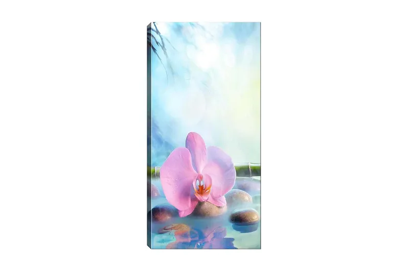 Canvastavla DKY Floral & Botanical Flerfärgad, 50x120 cm