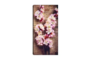 Canvastavla DKY Floral & Botanical Flerfärgad - 50x120 cm - Inredning - Tavlor & posters - Canvastavla