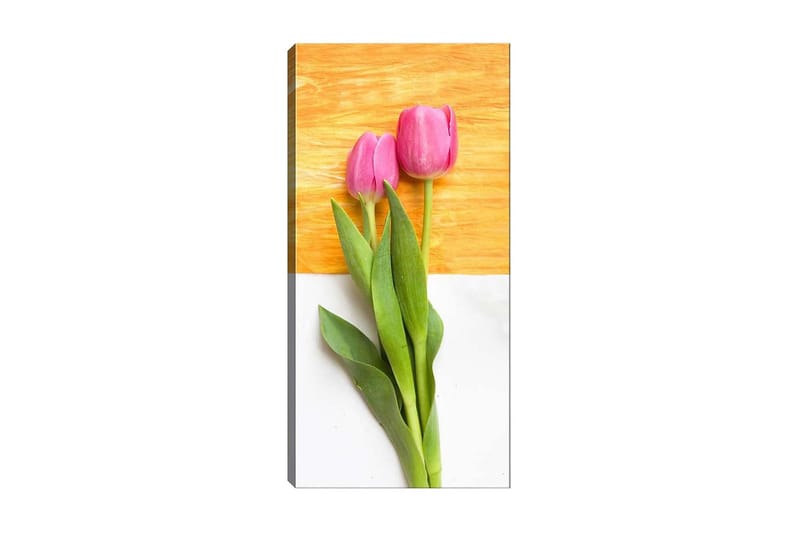 Canvastavla DKY Floral & Botanical Flerfärgad - 50x120 cm - Inredning - Tavlor & posters - Canvastavla
