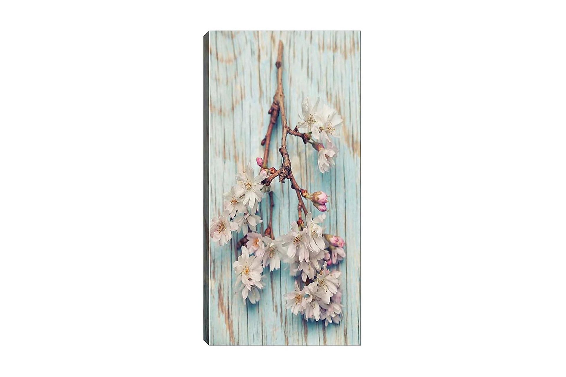 Canvastavla DKY Floral & Botanical Flerfärgad - 50x120 cm