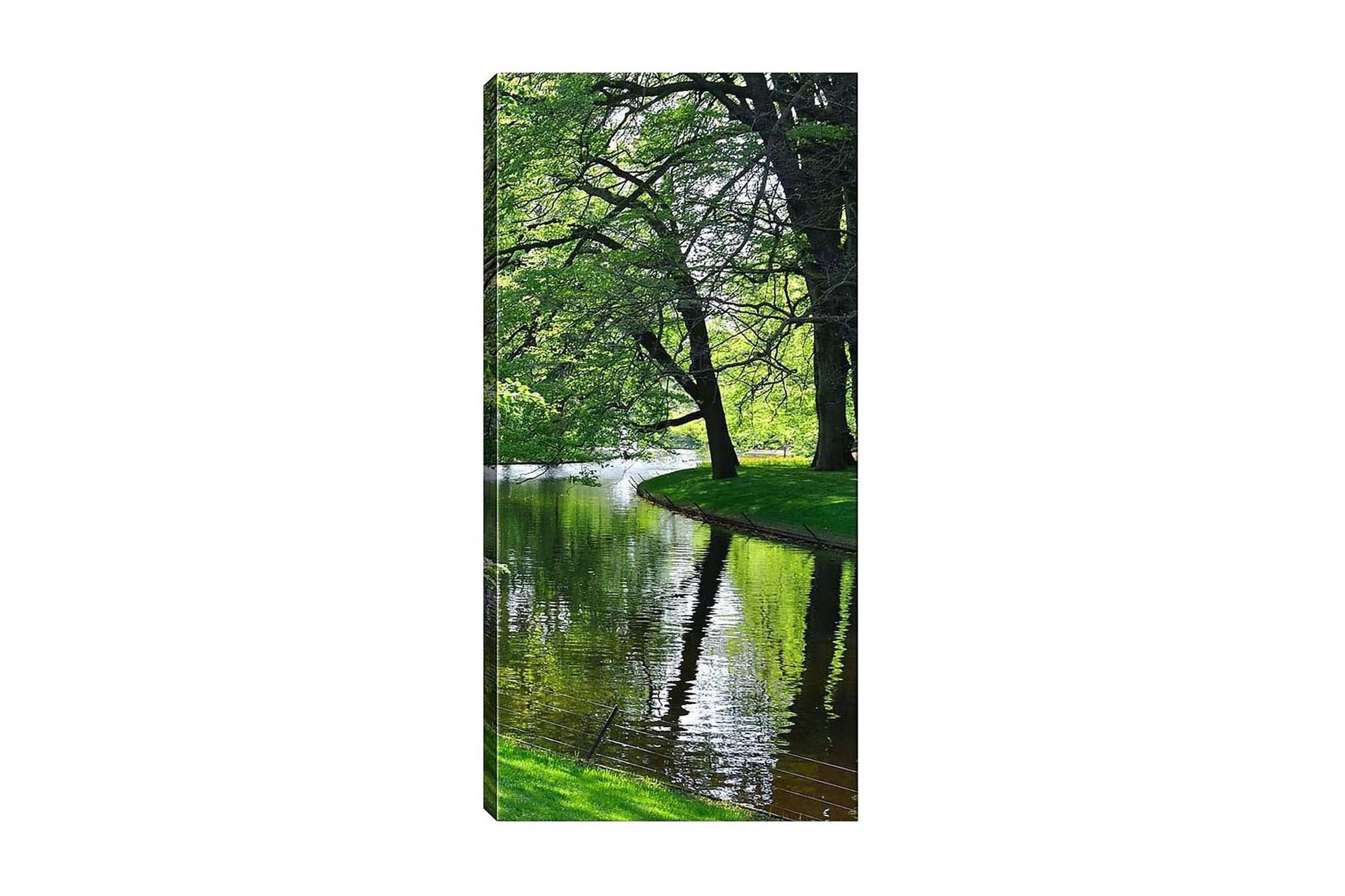 Canvastavla DKY Floral & Botanical Flerfärgad - 50x120 cm