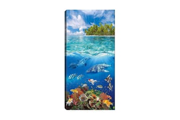 Canvastavla DKY Landscape & Nature Flerfärgad - 50x120 cm - Inredning - Tavlor & posters - Canvastavla