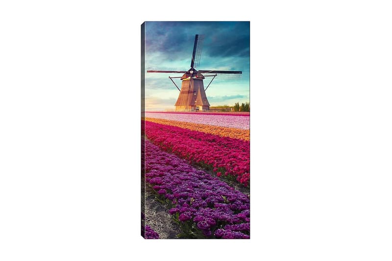 Canvastavla DKY Landscape & Nature Flerfärgad - 50x120 cm - Inredning - Tavlor & posters - Canvastavla