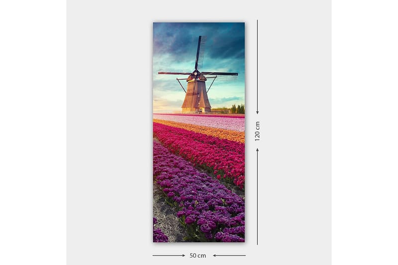 Canvastavla DKY Landscape & Nature Flerfärgad - 50x120 cm - Inredning - Tavlor & posters - Canvastavla