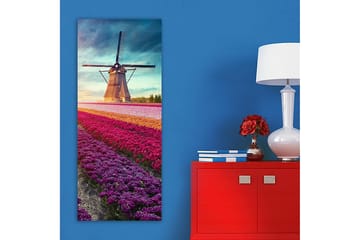 Canvastavla DKY Landscape & Nature Flerfärgad - 50x120 cm - Inredning - Tavlor & posters - Canvastavla