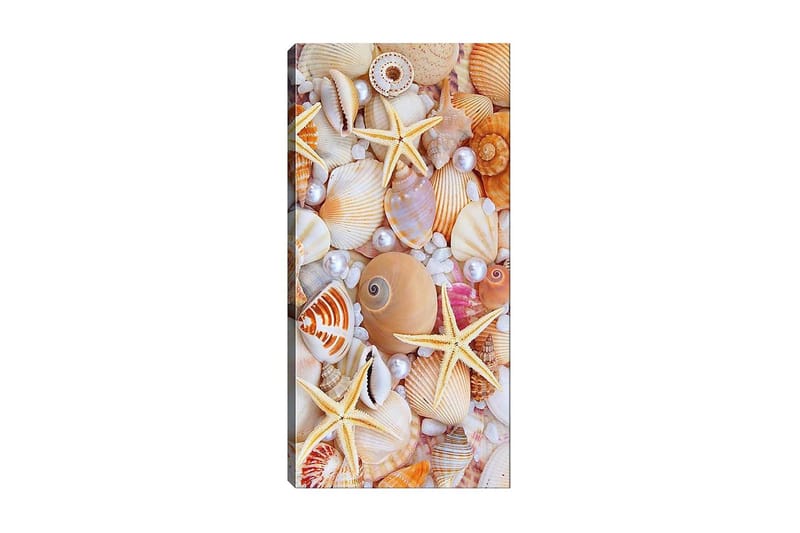 Canvastavla DKY Nautical & Beach Flerfärgad - 50x120 cm - Inredning - Tavlor & posters - Canvastavla
