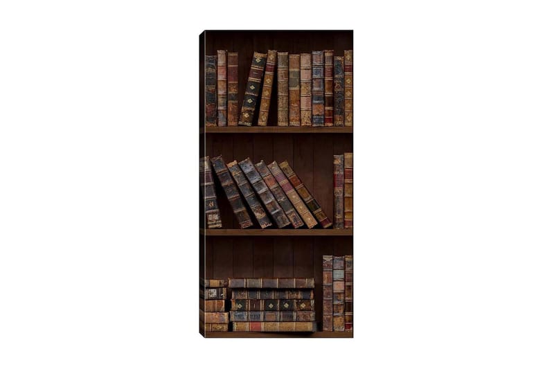 Canvastavla DKY Reading and Literature Flerfärgad - 50x120 cm - Inredning - Tavlor & posters - Canvastavla